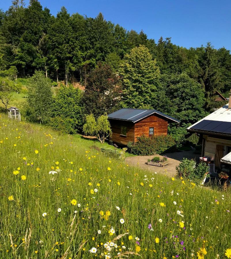 Gite Le Mazot De Vouan Saint-Andre-de-Boege Exteriör bild